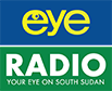U.S. arrests South Sudanese refugee over child sex assault allegations