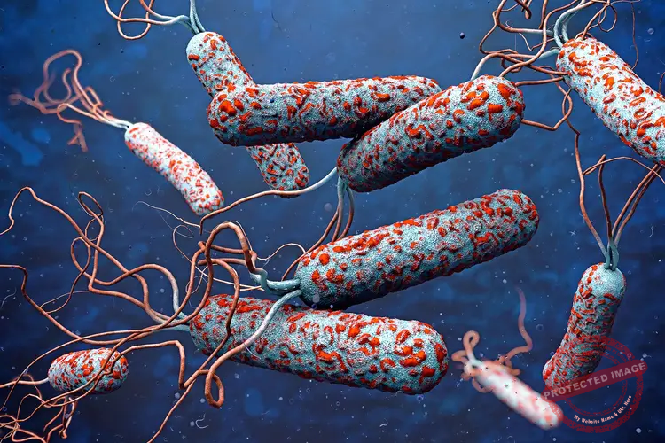 Cholera bacteria [Photo: courtesy]