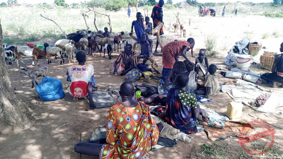 Displaced people following violence in Tonj East last week. [Photo: courtesy]