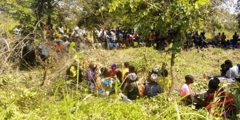 Dispaced persons sheltering under bushes in Morobo County after returning from Uganda - courtesy